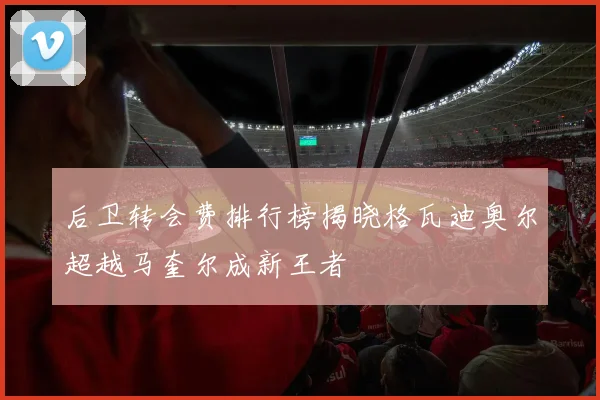 后卫转会费排行榜揭晓格瓦迪奥尔超越马奎尔成新王者